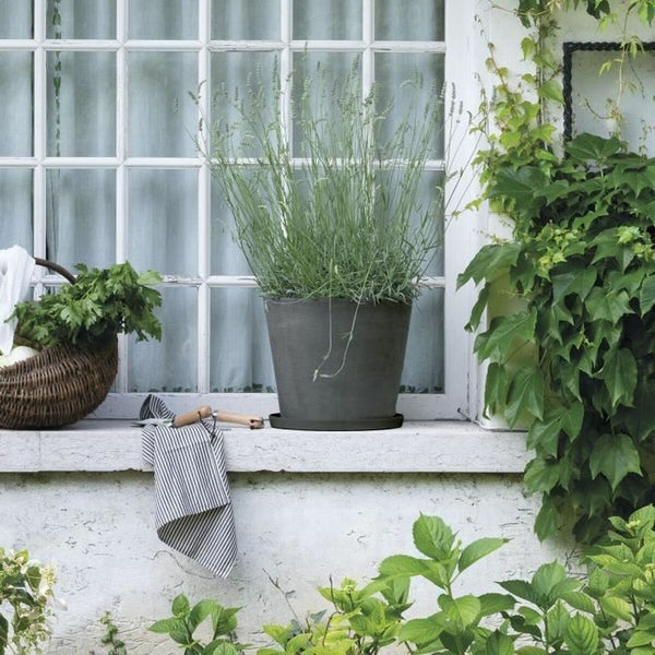 V4H7195E2A63F0773283708AC53AA057845R7024866P2