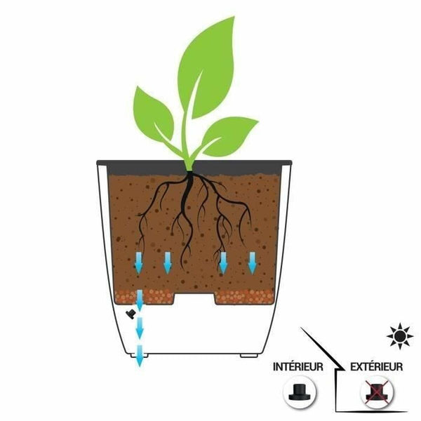 V3H641BB528F03C9FE535E1D5440877F80BR5780173P6