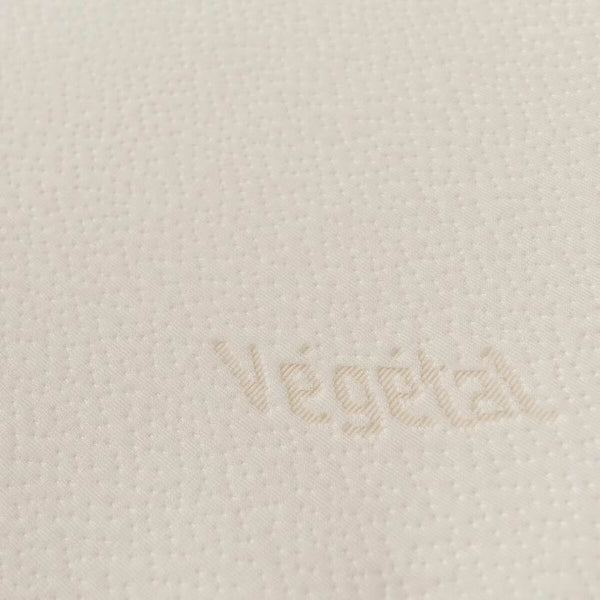 V4H92FEE1DE9C00FF9B65EB8E98D2BE644CR4997542P1