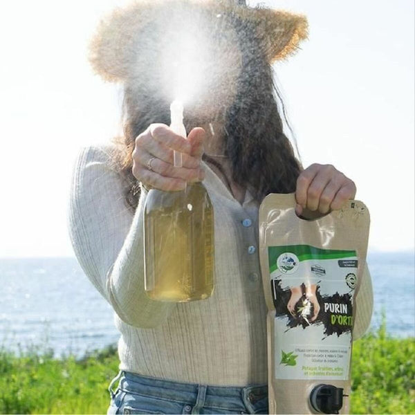 V3HAF1E77D558E01B38529C89239A5D9C6BR6067088P5