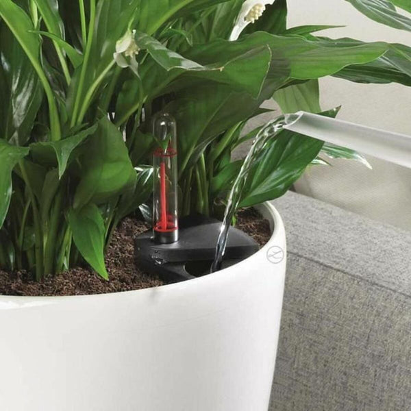 V4H80230FF23334DAC8E9AAB0B7D89DCBA9R7349235P7