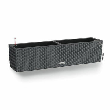 Maceta Lechuza Negro Gris Polipropileno