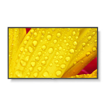 Monitor NEC 60006084 50" 4K Ultra HD