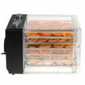 Deshidratador de Alimentos Adler AD 6660 600 W