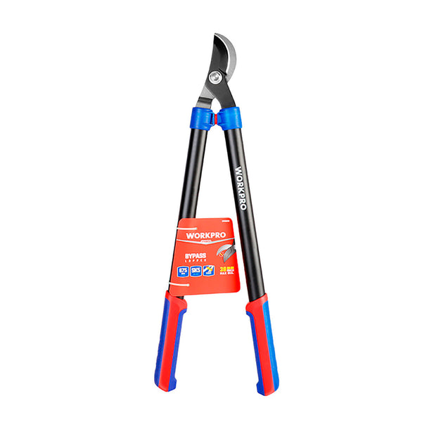 V2H24A6364FCC55ADD8F3CE9C4FDE99E765R7506165P2