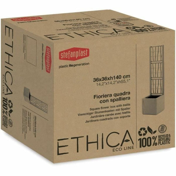 V3HAAA3E9FCD4338C90AAF075FDC4494D59R5936190P5