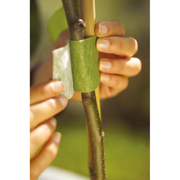 V4H4E2315320AD9A14C4F331BE099997722R5565787P3