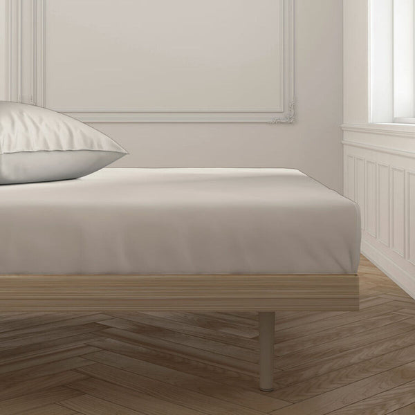 V3HA7E21905CE93A102871E5A0C58A54E22R5597156P3