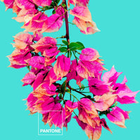 V10HD20E1001F3A9C19254B36E3E42C0D402R3400380P3