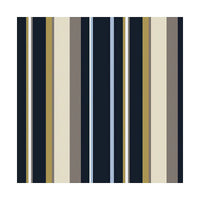 V10H7EF06312D076DDC7B4FB10CB7D6A57A3R3449264P1