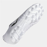 V4H4FF6F1BD6EBE6CC8ED32BADD4E775AC0R6983318P4