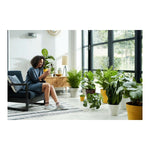 V7H463B6E752C3FCDD6D519B245ECD13A08R3430760P5