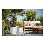 V9H89FE8BFFA935350DF4BE7ED5DCC35A19R6689510P5