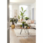 V7H938692B7415ED79C74307B8866D2C8C3R3436813P6