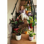 V3H3875A8E0D92064C991B074A9834B02CER5780298P4