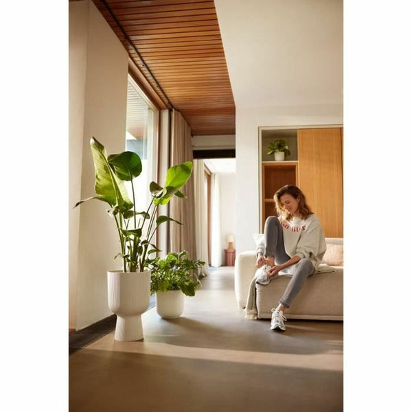 V4HF9D8B99323A846E549483C3E6E777A2BR6889052P6