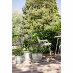 V3HAE13DCC6441D7D4D219B3A5DF248B88DR5529096P3