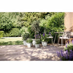 V3HAE9868D594CC1DD74E8E43924AC9F900R5529098P5