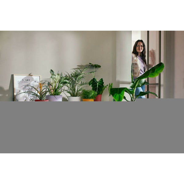 V2H098904F49ABD227B79EECA3F91C4B9CBR6737852P6