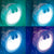 V8H9248F31AEEC06DCCD8F00D5F197A173ER5710750P4
