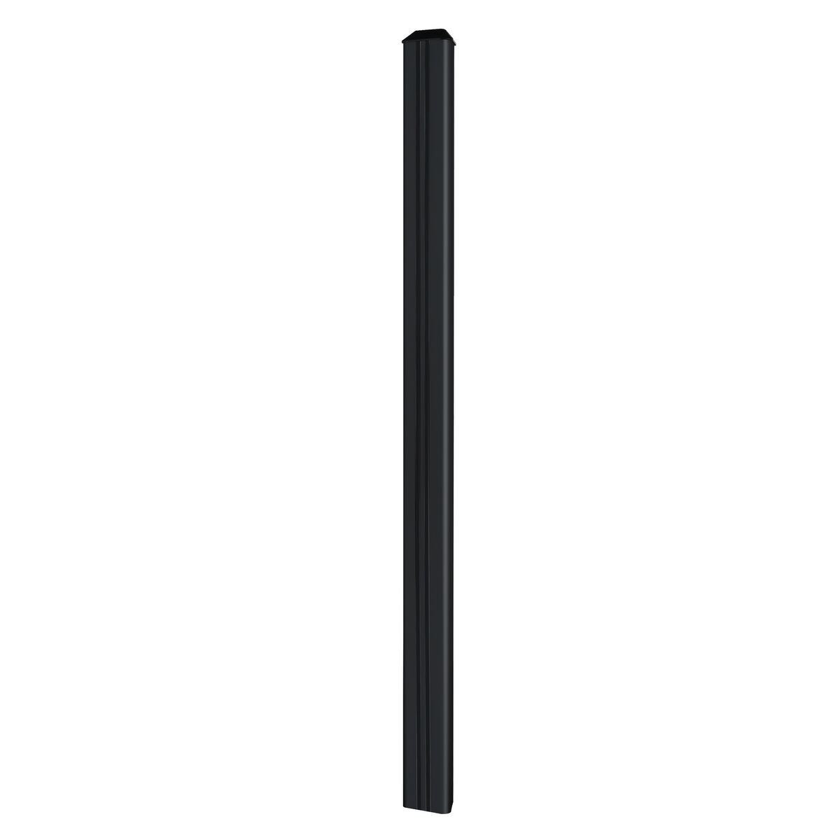 S55257531_0