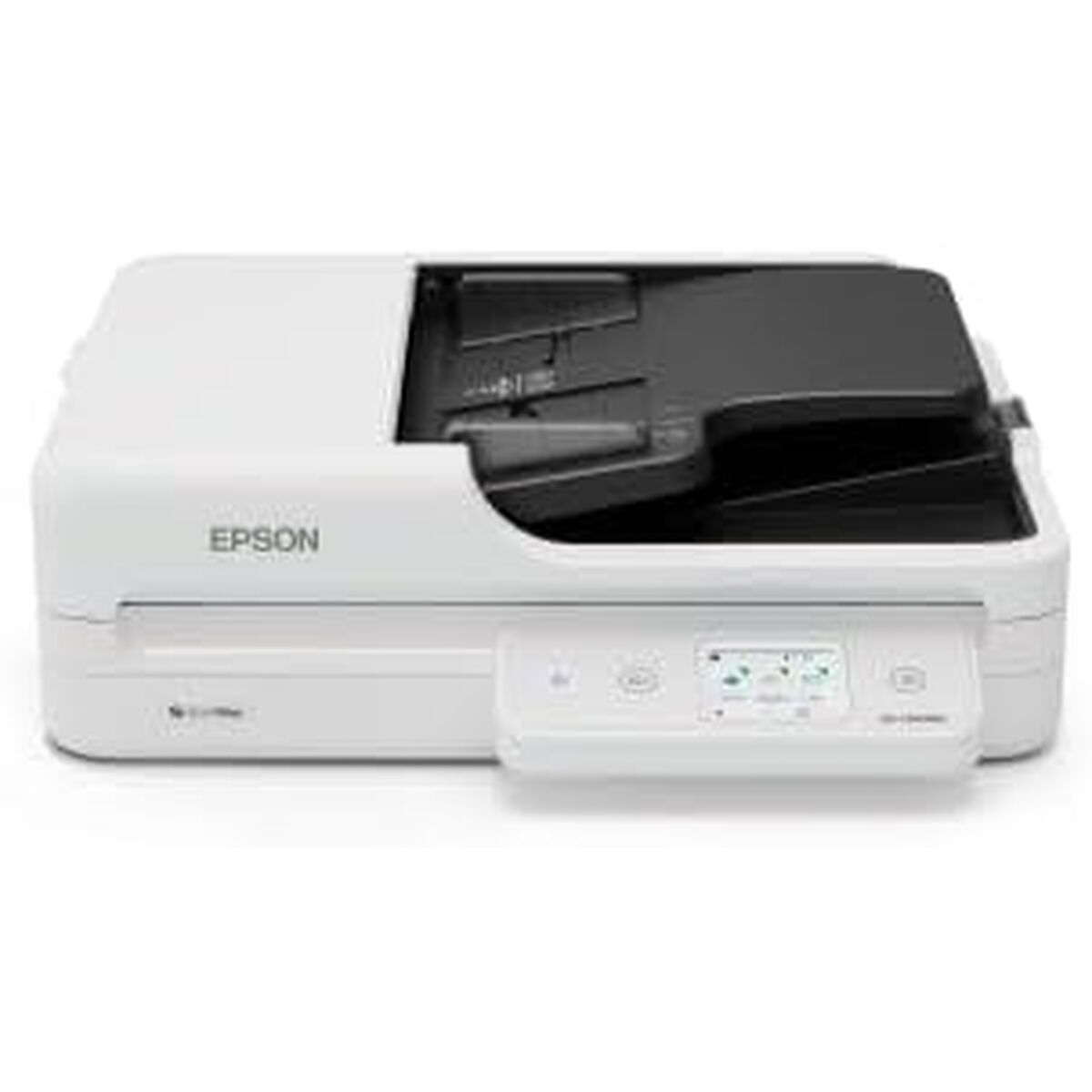 S55308406_0