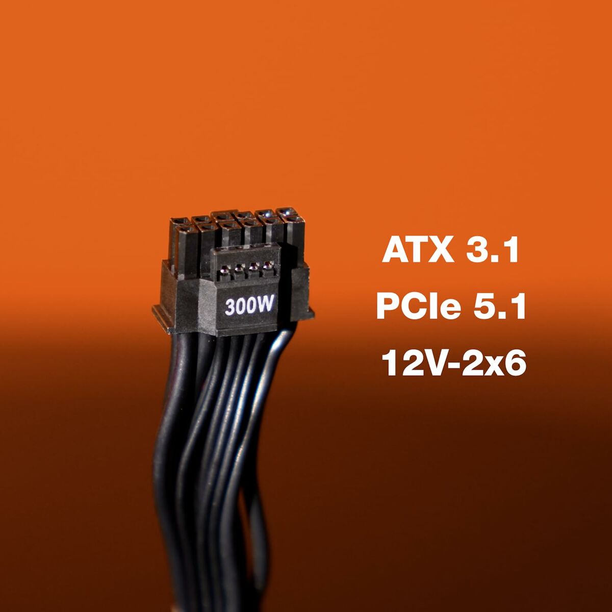 S71024684_13