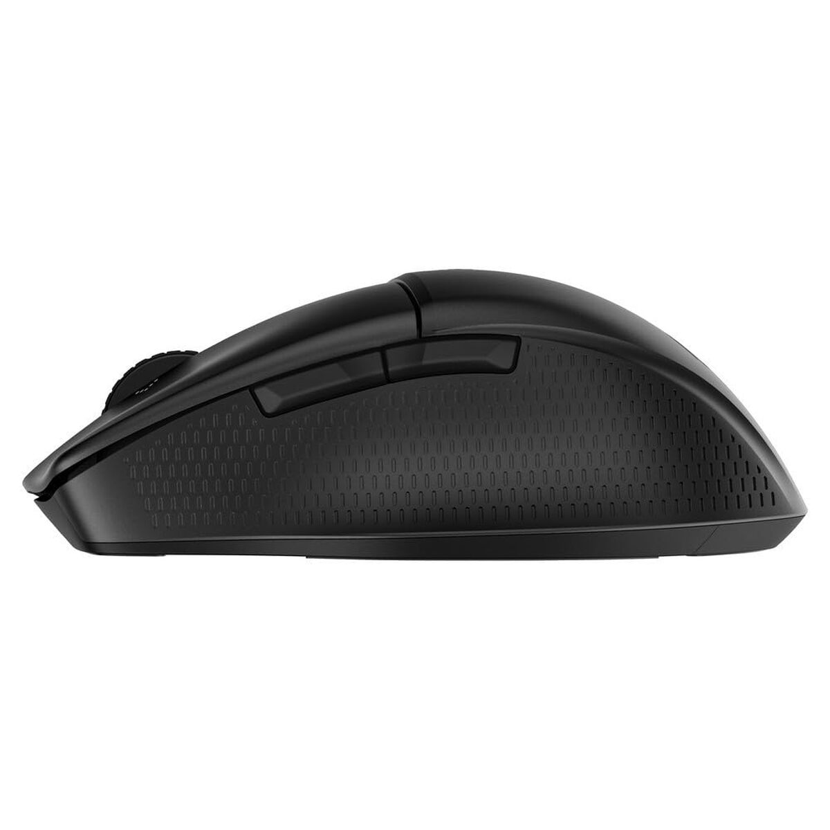 S55284065_3
